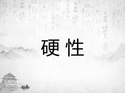 硬性 硬性