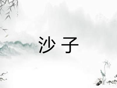 沙子 沙子