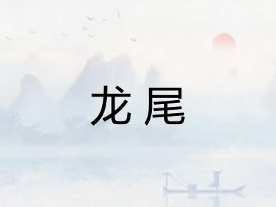 龙尾