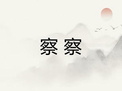 察察 察察