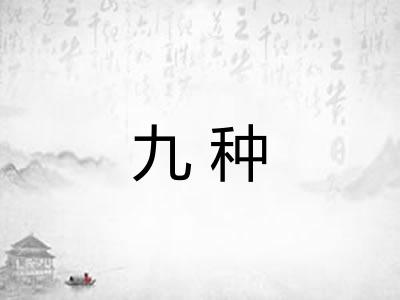 九种