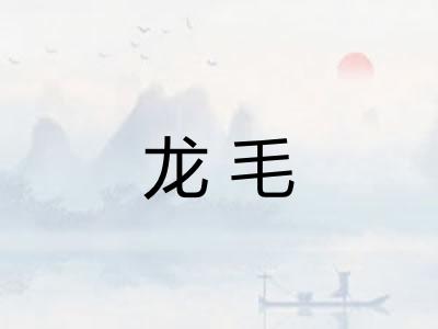 龙毛