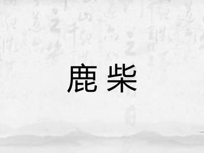 鹿柴 鹿柴