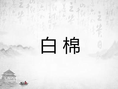 白棉 白棉