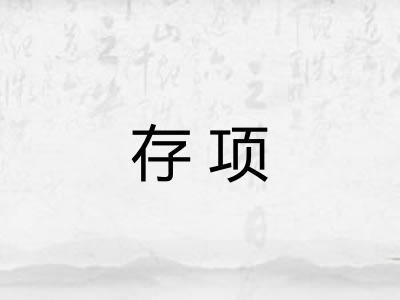 存项