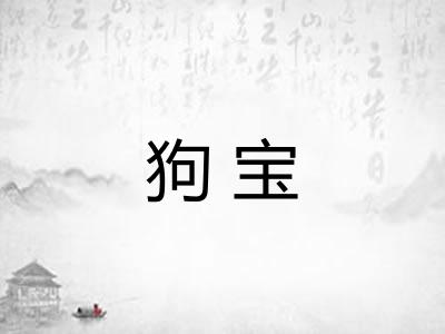 狗宝