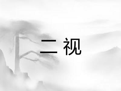 二视