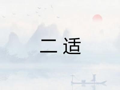 二适