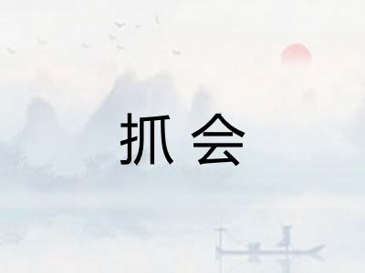 抓会 抓会
