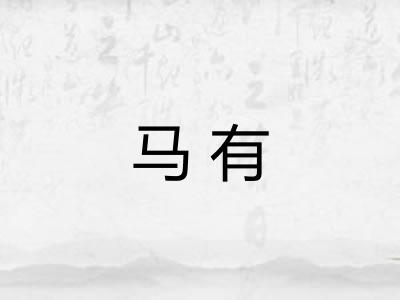 马有 马有