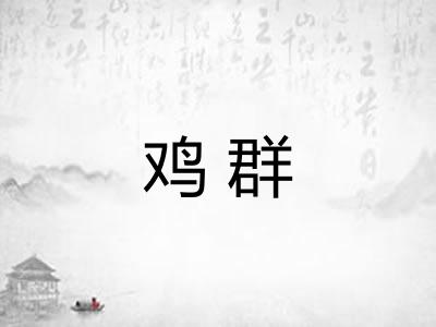 鸡群 鸡群
