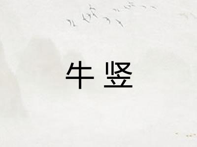牛竖 牛竖