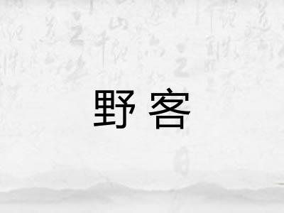 野客 野客