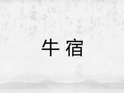 牛宿