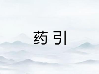 药引 药引