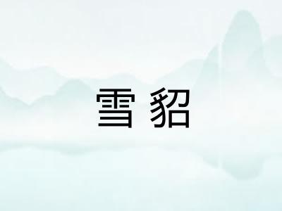 雪貂 雪貂