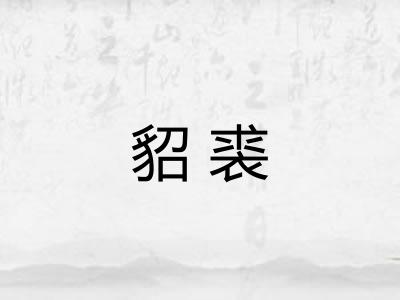 貂裘 貂裘