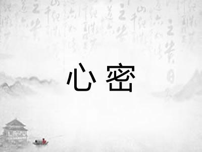 心密 心密