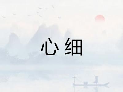 心细