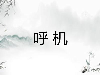 呼机 呼机