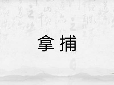 拿捕 拿捕