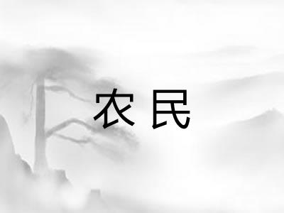 农民 农民