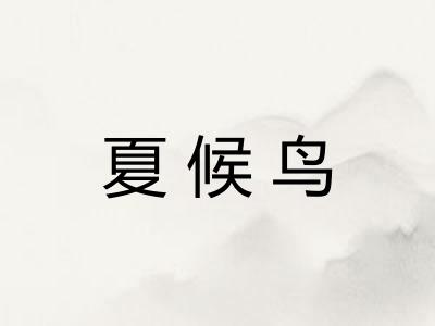 夏候鸟 夏候鸟