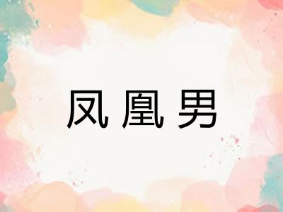 凤凰男 凤凰男
