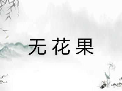 无花果 无花果