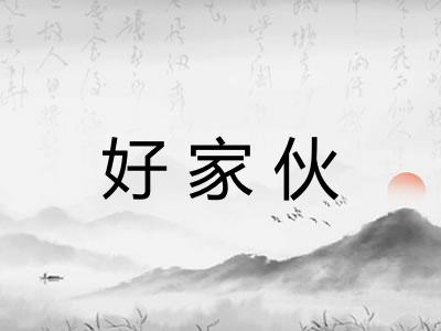 好家伙