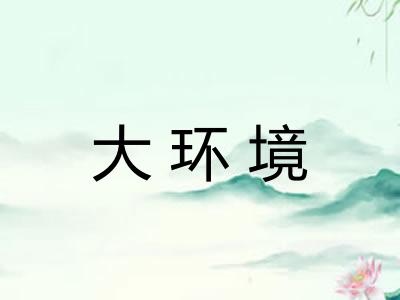 大环境