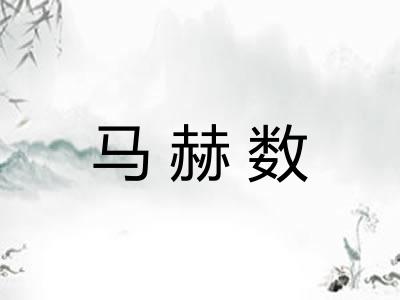 马赫数 马赫数