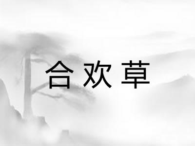 合欢草 合欢草