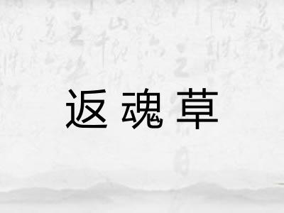 返魂草 返魂草