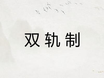 双轨制 双轨制