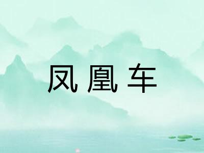 凤凰车 凤凰车