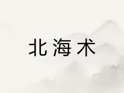 北海术 北海术