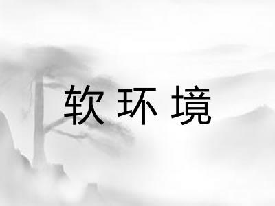 软环境 软环境