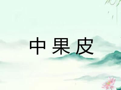 中果皮