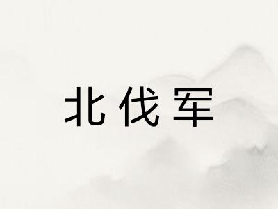 北伐军 北伐军