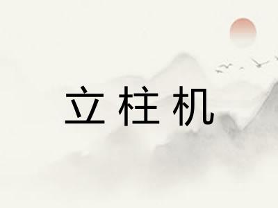 立柱机 立柱机