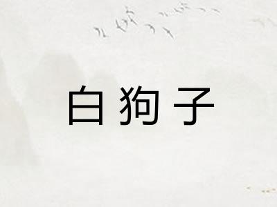 白狗子 白狗子