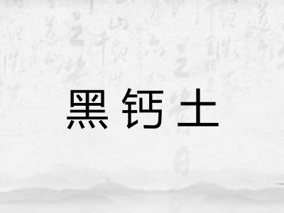 黑钙土 黑钙土
