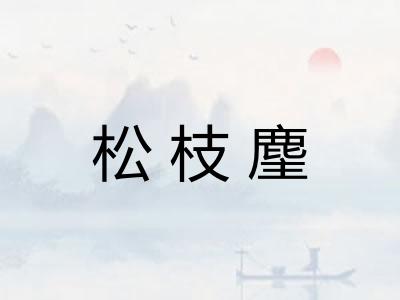 松枝麈 松枝麈