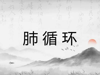 肺循环