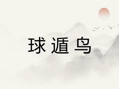 球遁鸟 球遁鸟