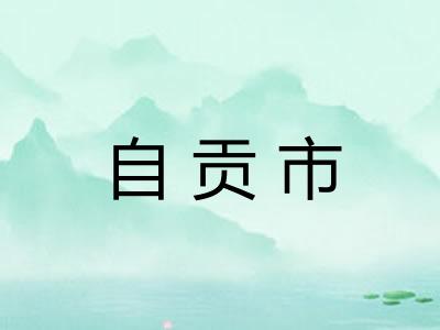 自贡市