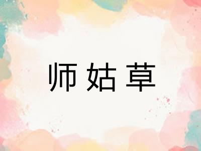 师姑草 师姑草