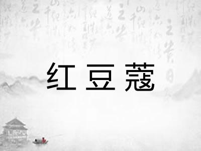 红豆蔻 红豆蔻