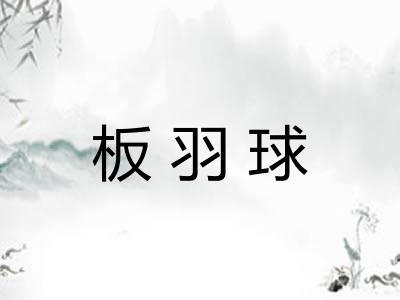 板羽球 板羽球